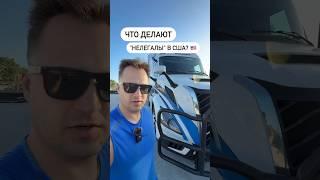 Что делают "нелегалы" в США? 