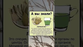 ЛАВРОВЫЙ ЛИСТ #здоровоепитание  #советы  #полезныесоветы  #здоровыйобразжизни