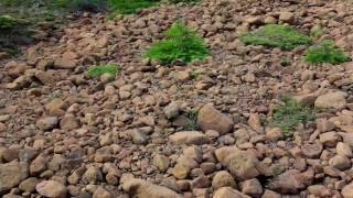 Parcul Național Gros Morne - Newfoundland și Labrador, Canada