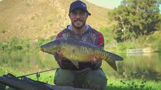The Most Versatile Rig! Targeting Mirror Carp in The Breede River