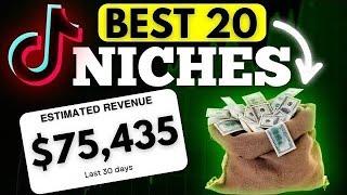 BEST 20 TikTok Niches in 2025 ( Make Money Online)