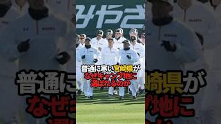 普通に寒い宮崎県がなぜキャンプ地に選ばれるのか#sports #shorts #プロ野球 #野球 #やきゅスト