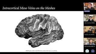 Faruk Gulban: Meso Veins Meet Layer fMRI in High-Speed Data Exploration for the New Mesoscopic Era