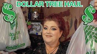 DOLLAR TREE HAUL | NEW FINDS |  January 3, 2025