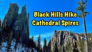 Black Hills Hike - Cathedral Spires + Buffaloes @ Custer State Park