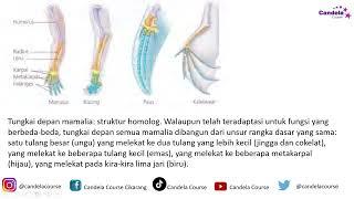 LATIHAN SOAL OSN K Biologi 2024 #1