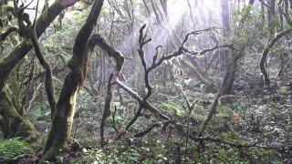 La Gomera, l'île magique des Canaries