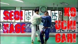 Seoi Nage and Ko Uchi Gari Combination by Korean 7th Dan (HD)