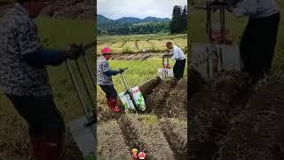 Smart Farming Tool Cultivation Techniques #agriculture #satisfying #short