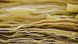 Close Up Production of Plywood Sheets | Stock Footage - Videohive