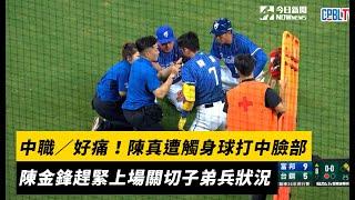 中職／好痛！陳真遭觸身球打中臉部　陳金鋒趕緊上場關切子弟兵狀況｜NOWnews