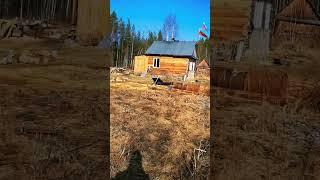 Нашли обалденную избу в тайге на берегу реки #охота #рыбалка #тайга #shorts