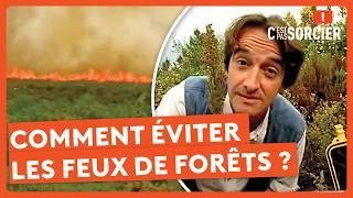 Comment éviter les feux de forêts ? - C'est pas sorcier