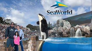 Things To Do At SeaWorld San Diego