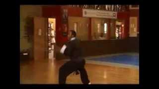 TAMA Martial Arts Tien Shan Pai Kung Fu with David Lewis