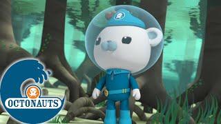 Octonauts - la jungle sous-marine | Dessins animés pour enfants