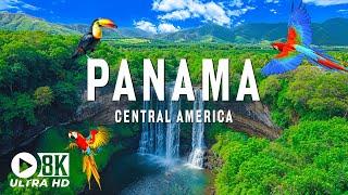 Panama 8K UHD - Journey Through The Rainforests A World Of Biodiversity