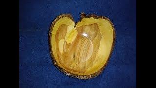 Wood Turning Pear Crotch Bowl The Apple of my Eye