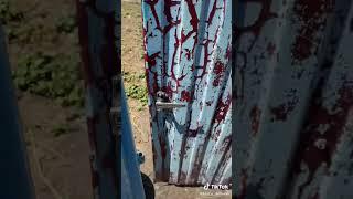 Сельский житель
