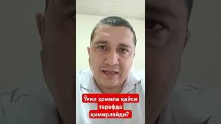 Ўғил ҳомила қайси тарафда қимирлайди?