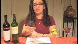 SoGood.TV: Tasting Wine Basics