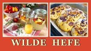 #27 Wilde Hefe mit Äpfeln  Hefewasser für Anfänger   Wilde Hefe Brot backen