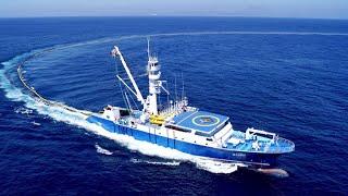 Menakjubkan Menangkap Ribuan Ton Ikan Tuna Dengan Kapal Besar Modern - Pukat Pancing Cumi Tercepat