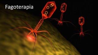 #microBIOscope Virus contra bacterias