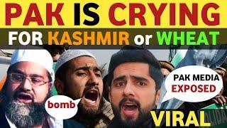 PAK MEDIA CRYING ON INDIA'S DEVELOPMENT IN KASHMIR ? SOHAIB CHAUDHARY REAL ENTERTAINMENT TV VIRAL