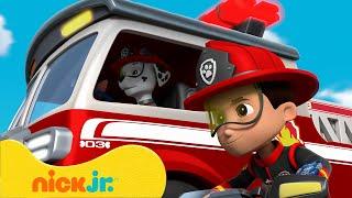 PAW Patrol | PAW Patrol ultimative Rettungsmissionen! mit Chase, Tracker & Marshall | Nick Jr.