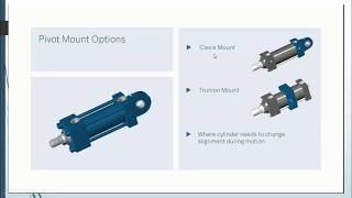 skew and trim hydraulic cylinder