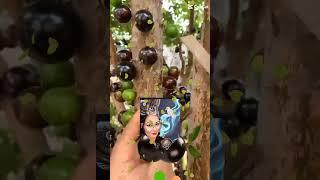 fruits #shorts satisfying