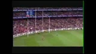 Sydney Swans - Never Say Die!