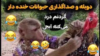 عجب بازیگریه دوبله و صداگذاری حیوانات خنده دار و طنز 