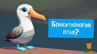  Дива природи. Явища навколо нас. Сула блакитнонога 
