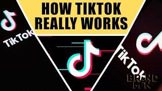 5 Easy Tips To Get TikTok Fans + Breakdown | How To Get TikTok Famous P1/4