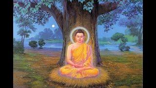 CUỘC ĐỜI ĐỨC PHẬT  - THE LIFE OF BUDDHA - by NGÔ HOÀNG ĐẠT