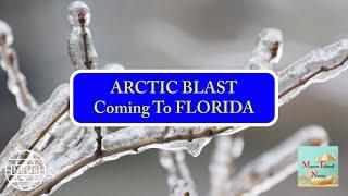 ARCTIC BLAST Coming To FLORIDA Marco Island News