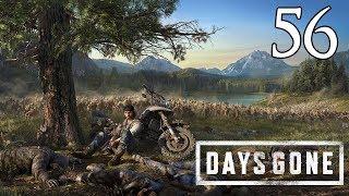 Days Gone - Let's Play Part 56: We Couldn't Take The Risk