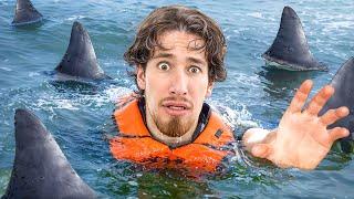 Accidentally Swimming With Sharks...