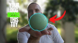 YOUR DOG NEEDS THIS INTERACTIVE TOY!! Cheerble Wicked Ball PE