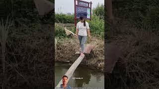 Top funny videos top funny moments #comedy #funny #lucu #fishing #shortsvideo