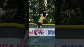 Filmed the Outfield Wall Just in Case #dingersornothing #wiffleball #baseball #shorts