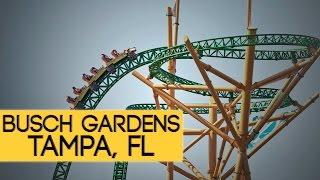 A Day At Busch Gardens Tampa