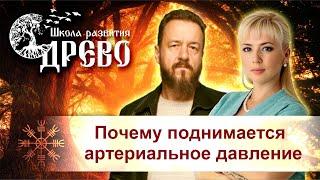 Почему поднимается артериальное давление