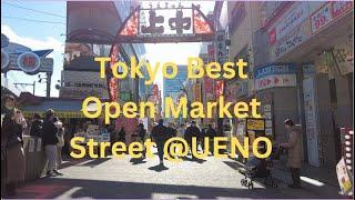 Ueno Ameyoko Shopping Street. The Best Open Market I Tokyo Attraction-Japan