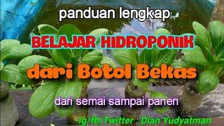 CARA DAN PANDUAN LENGKAP BELAJAR HIDROPONIK SEDERHANA DARI BOTOL BEKAS,  DARI SEMAI SAMPAI PANEN