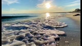 Sunny Ocean at Hardings Beach in Chatham, Cape Cod : Stock Footage #151b