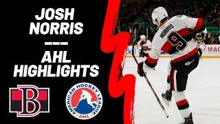 Josh Norris #9 | AHL Highlights (Rookie Season)