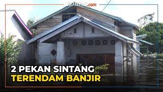 Sintang Kalbar Terendam Banjir dalam Dua Pekan, Ketinggian Air Kembali Meningkat